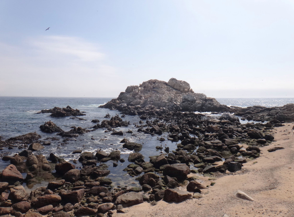 praia renaca vina del mar
