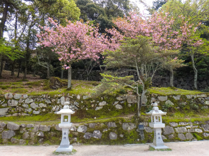 Ilha Sagrada De Miyajima Tudo Para Voc Conhecer E Se Encantar