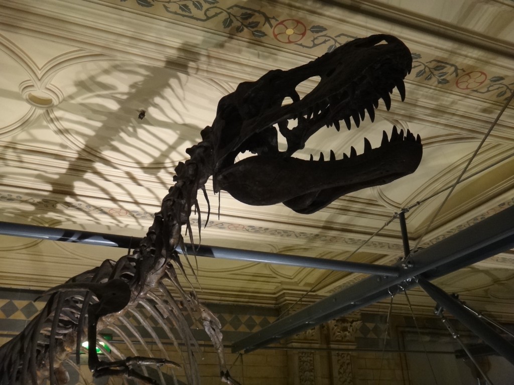 dinossauro-museu-historia-natural museu de londres gratis