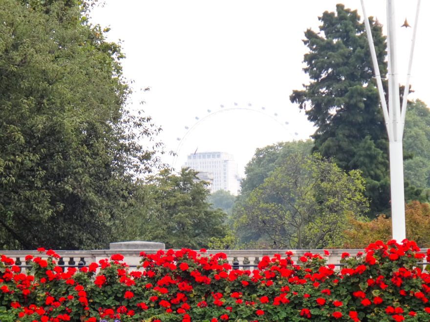 londo eye londres - Os lindos parques de Londres: passeio com muito verde na Inglaterra