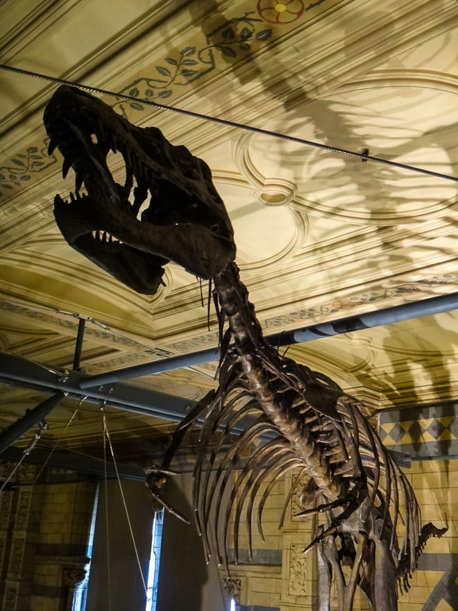 museus de londres dinossauro historia natural - Museus de Londres gratuitos - aproveite! Sugestões imperdíveis!