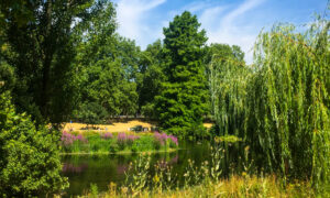 Os lindos parques de Londres: passeio com muito verde na Inglaterra