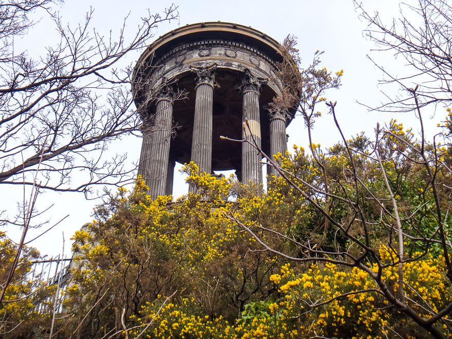 calton hill flores simbolo cidade - Conhecendo Calton Hill Edimburgo vista do alto
