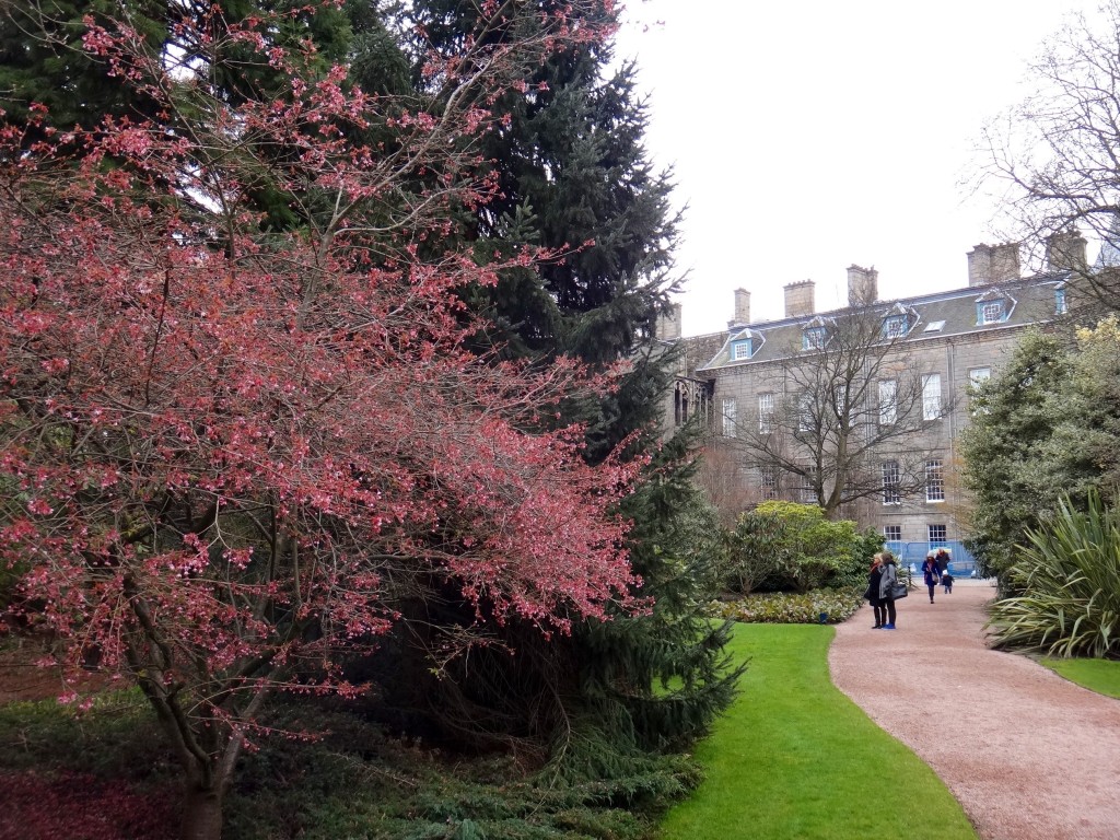 jardim de holyroodhouse edimburgo escócia