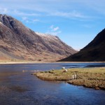 natureza highlands 150x150 - Lembranças da Escócia