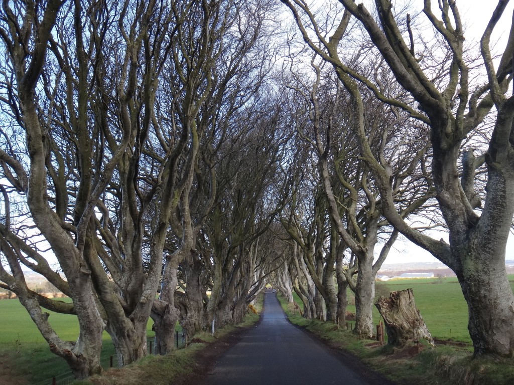 kingsroad irlanda 1024x768 - A Irlanda de Game of Thrones - cenários da série para sua viagem