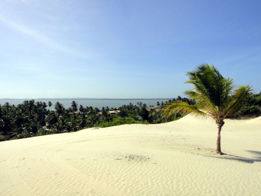 mangue seco areia coqueiro 1024x768 - Praia de Mangue Seco Bahia: viagem de sol e mar no paraíso!