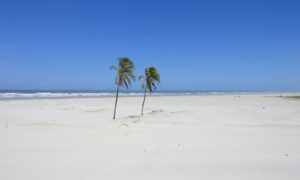 Praia de Mangue Seco Bahia: viagem de sol e mar no paraíso!