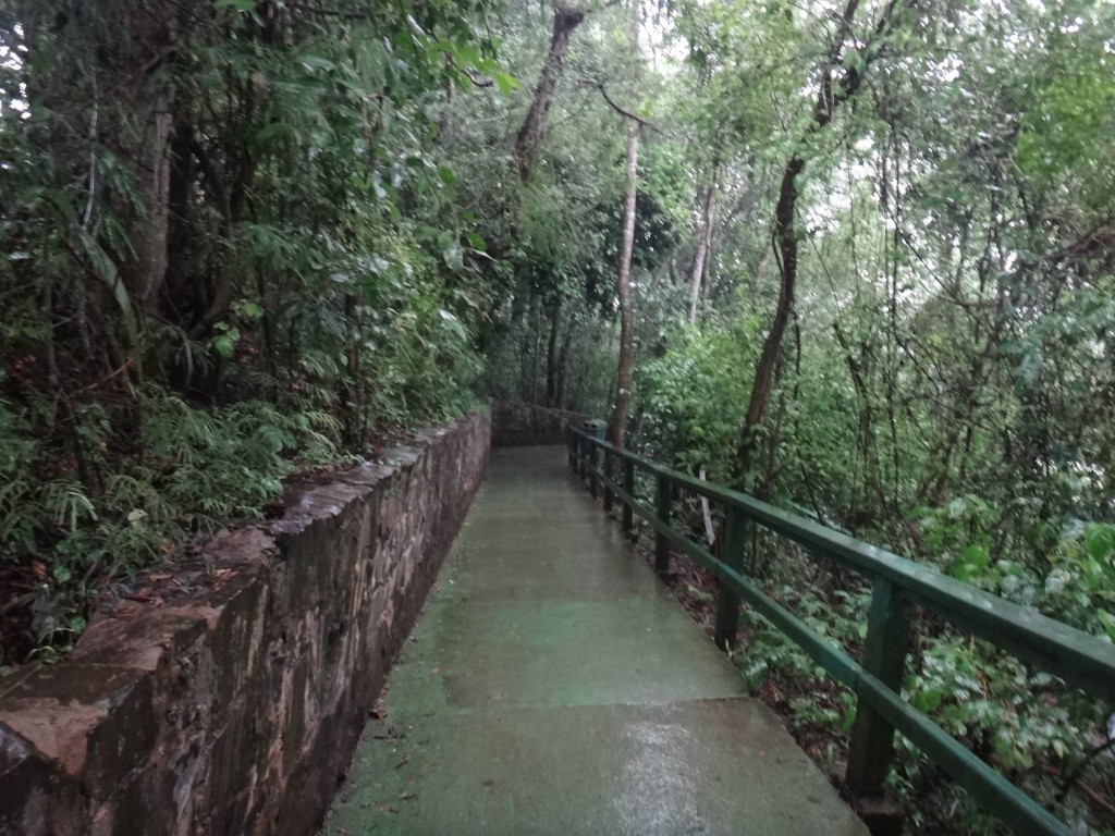 trilha pavimentada cataratas iguaçu
