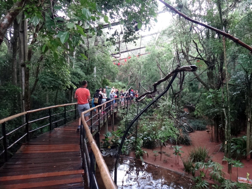 parque das aves viveiro pantanal 1024x768 - O Parque das Aves em Foz do Iguaçu: tudo de bom!