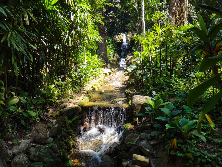 cascata horto rj - Jardim Botânico Rio de Janeiro: ponto turístico imperdível!