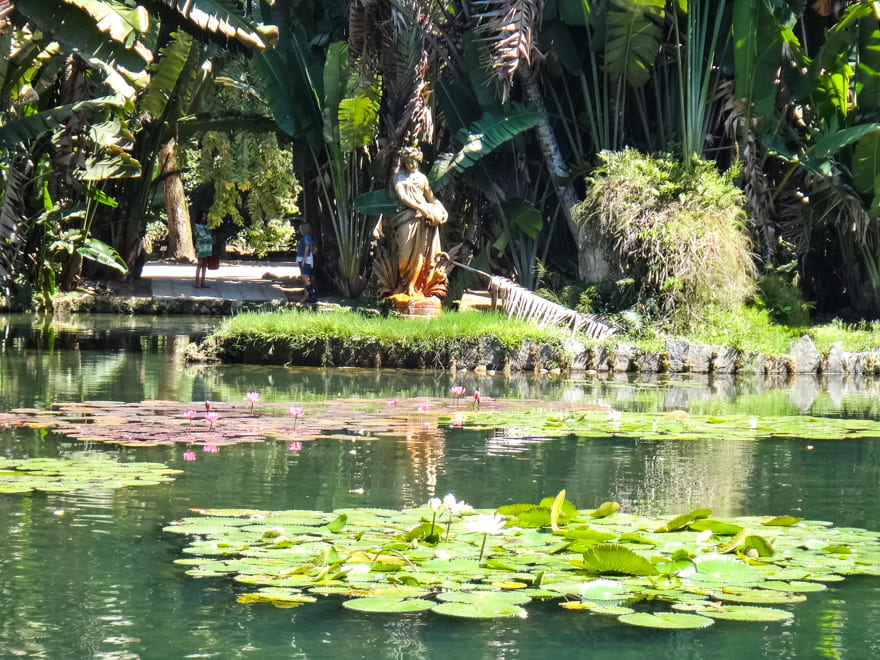 lago vitoria regia rio de janeiro - Jardim Botânico Rio de Janeiro: ponto turístico imperdível!