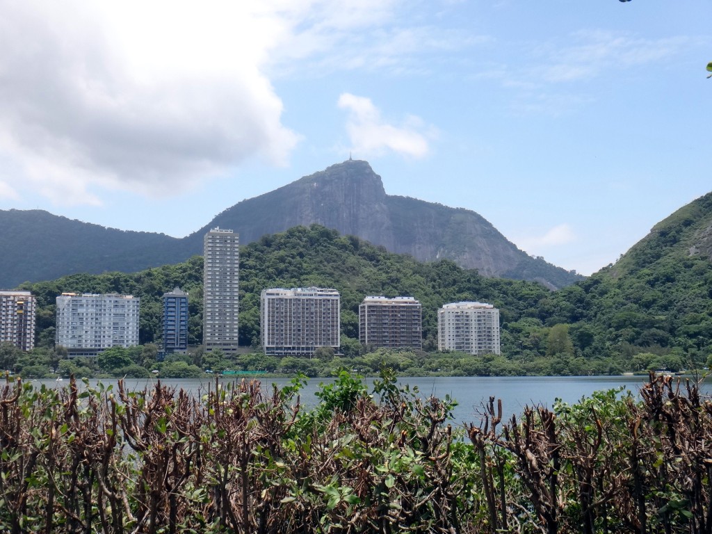 lagoa rodrigo freitas vegetação 1024x768 - Lagoa no Rio de Janeiro. Muito lazer, esporte e gastronomia.