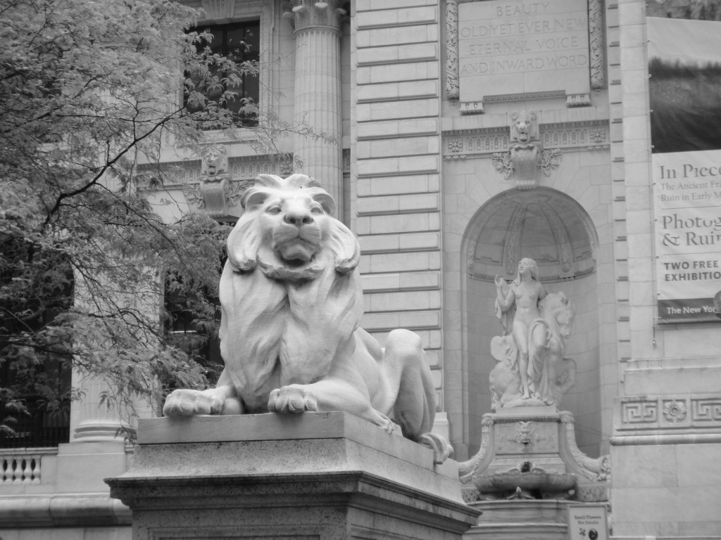 leao biblioteca publica de new york 1024x768 - Foto da Semana: O leão da Biblioteca de Nova York