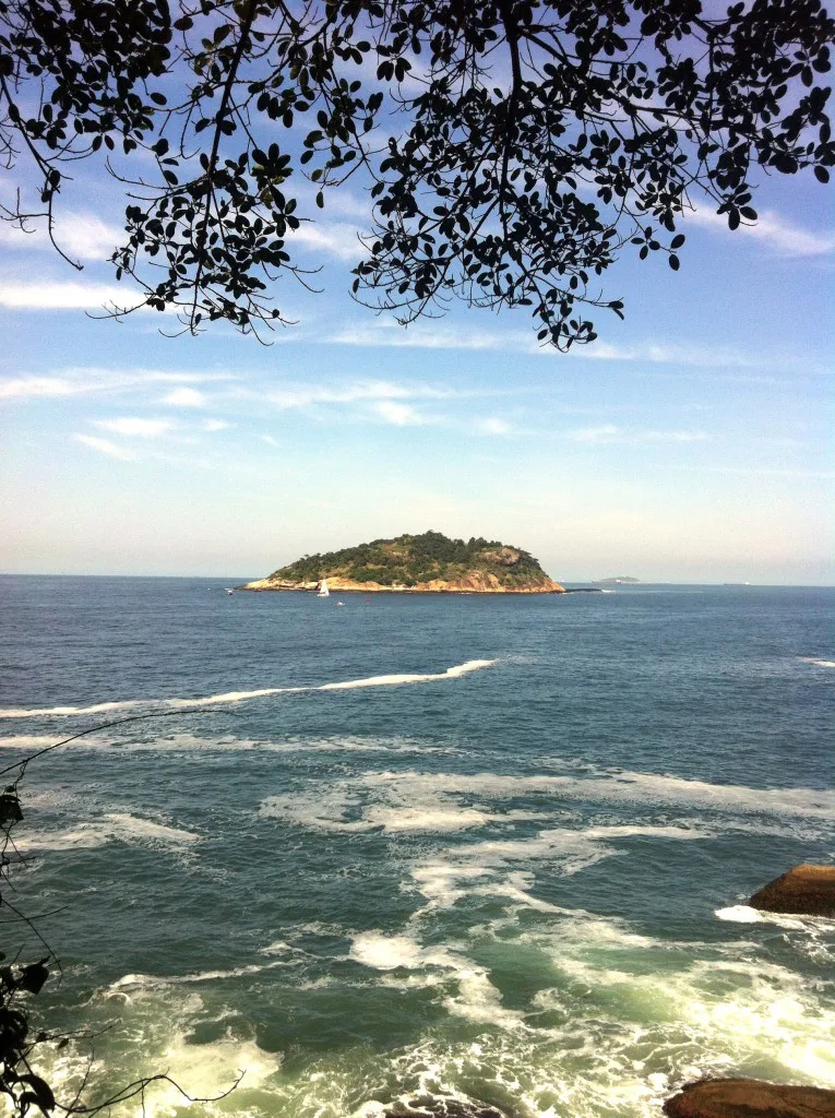 Aves e Árvores: Visita à Pista Claudio Coutinho no Morro da Urca (RJ):  paraíso do Tiê-Sangue e outras aves