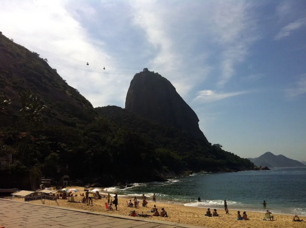 Aves e Árvores: Visita à Pista Claudio Coutinho no Morro da Urca (RJ):  paraíso do Tiê-Sangue e outras aves