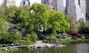 Foto da Semana: Central Park