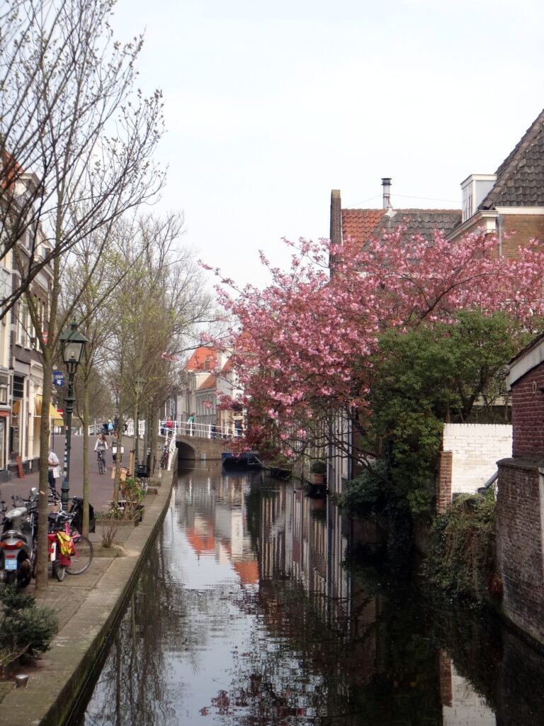 delft canal flor 768x1024 - Bate-volta de Amsterdam: 10 cidades incríveis na Holanda!