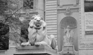 Foto da Semana: O leão da Biblioteca de Nova York