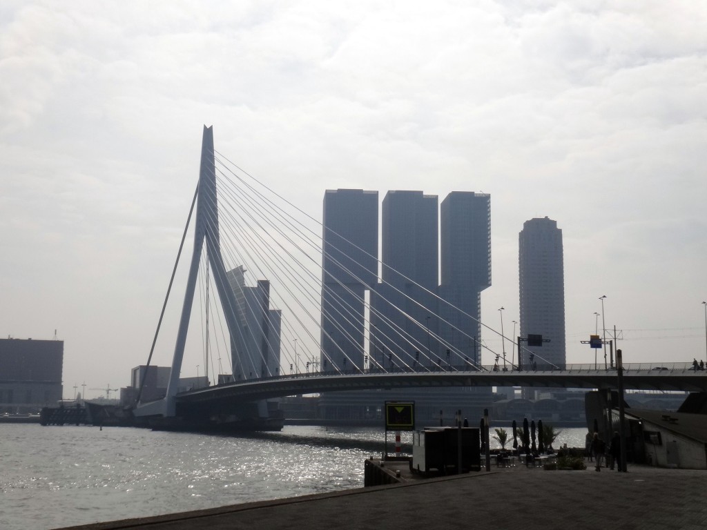 roterda holanda ponte erasmus 1024x768 - O que fazer em Rotterdam - modernidade e cultura