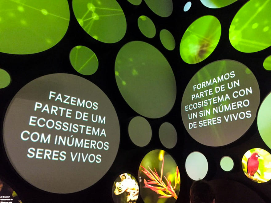 museu do amanha exposic%CC%A7a%CC%83o - Museu do Amanhã Rio de Janeiro: presente e futuro em um só lugar