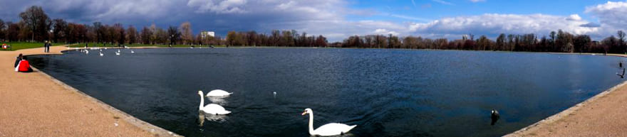 palacio-de-kensington-lago-cisnes-jardim