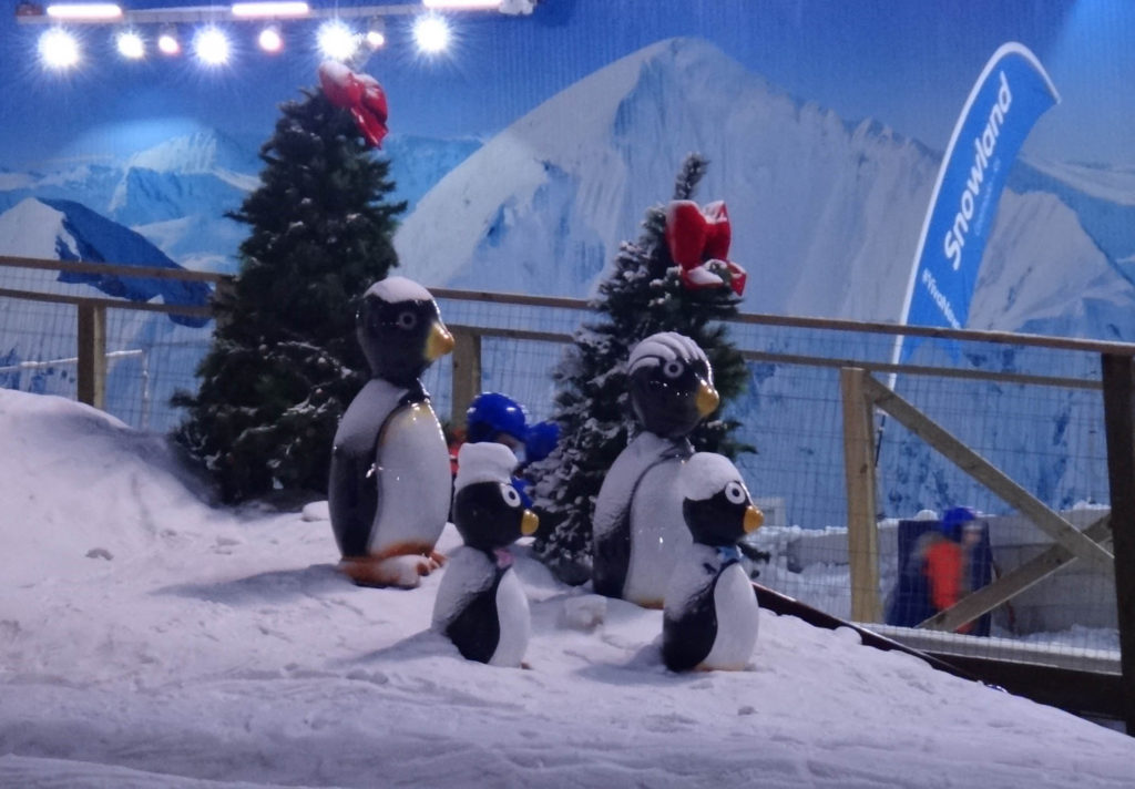 pinguins na neve em snowland em gramado