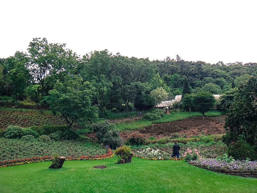 le jardin parque de lavanda jardim - Le Jardin Parque de Lavanda Gramado: como é visitar?