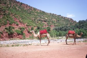 Imagens e história de viajens para Marrocos