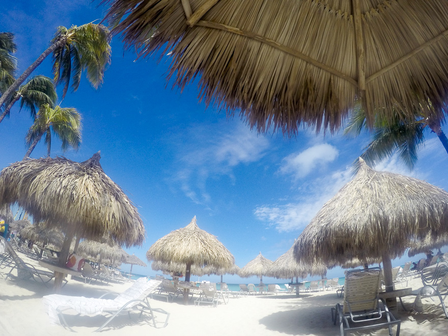 melhores praias aruba palm beach barracas - As 5 melhores praias de Aruba