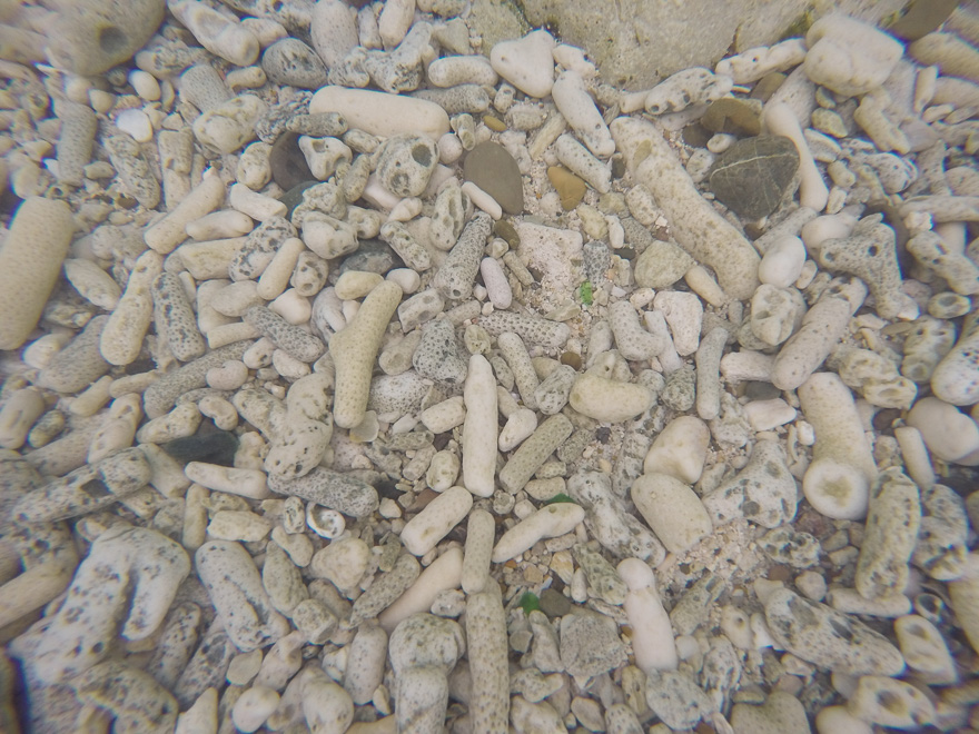 pedras na praia de curaçao