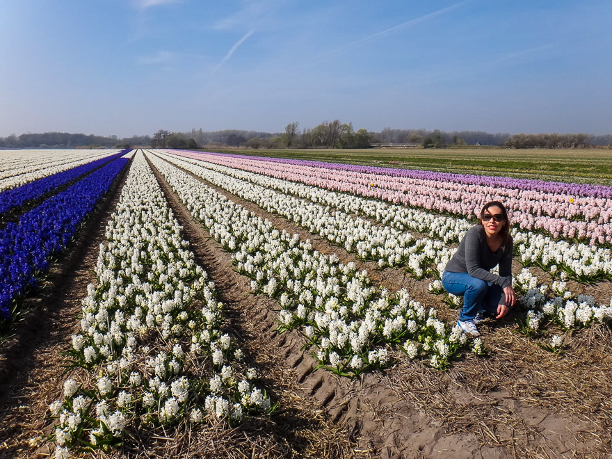 viagem sozinha campo de tulipa - 7 motivos para viajar sozinha