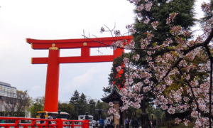Viagem para o Japão: impressões, sentimentos e recordações.