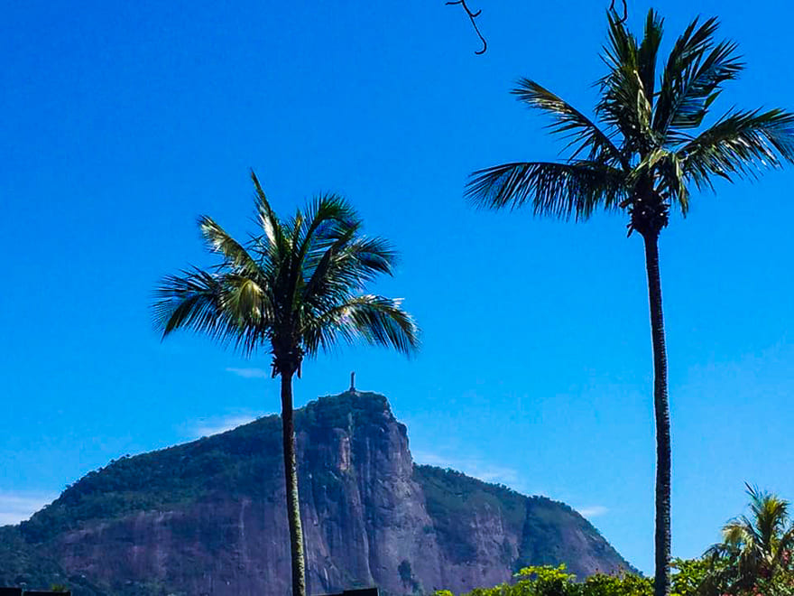 guia rio de janeiro corcovado palmeiras - Guia Rio de Janeiro: tudo para organizar sua viagem carioca!