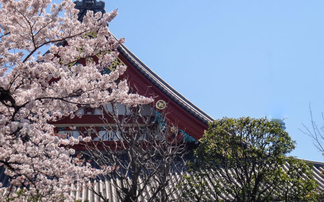 o que fazer em tóquio templo asakusa na sakura