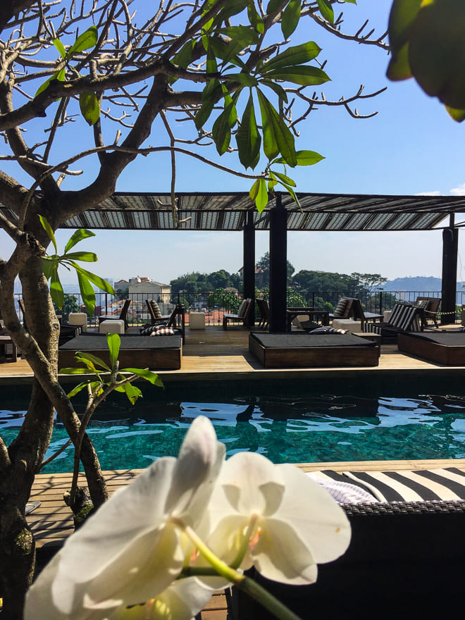 Páscoa em casa: sugestões para celebrar no Rio de Janeiro hotel santa teresa rio mgallery piscina oriquidea - Páscoa em casa: sugestões para celebrar no Rio de Janeiro