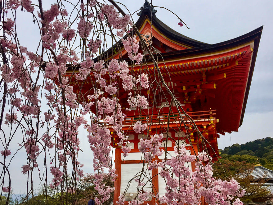 japao sakura templo - Guia de Viagem Japão. Tudo para viajar ! [post índice]