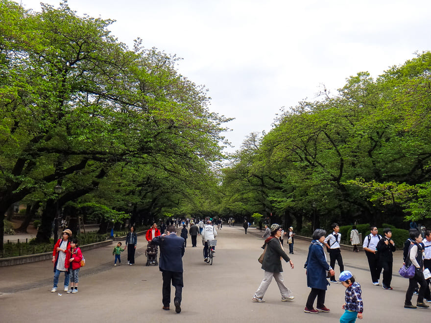 toquio ueno park apos sakura - Viagem na sakura no Japão: melhor época do ano para visitar