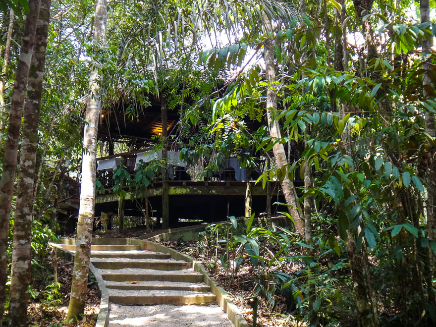 anavilhanas jungle lodge restaurante - Anavilhanas Jungle Lodge, hotel de selva com charme [HOTEL]