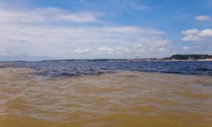 Encontro das Águas Manaus: viva a natureza brasileira!