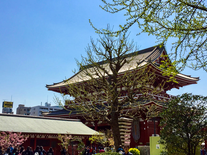 senso ji templo arvores - Templo Senso-ji em Asakusa- o mais antigo de Tóquio