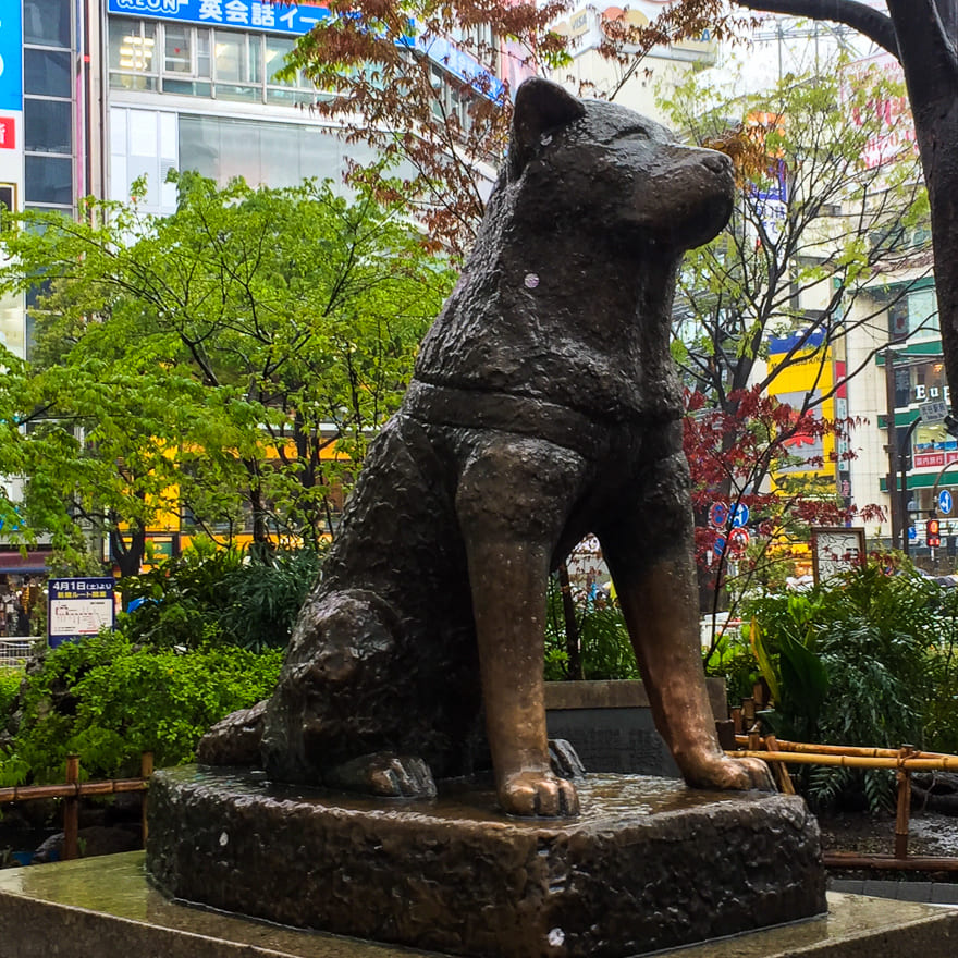 bairros em toquio estatua hachiko - Transporte público em Tóquio: como andar de metrô e outros meios