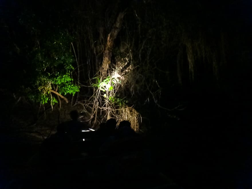 o que fazer na amazonia noite rio - O que fazer na Floresta Amazônica e se encantar pela nossa Natureza