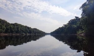 Passeios em Manaus: os melhores para você curtir o Amazonas