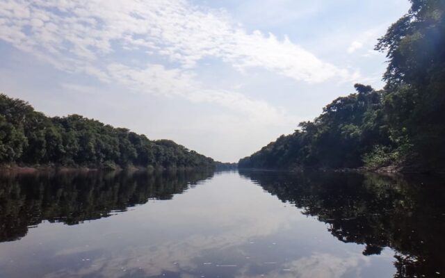 rio amazonia floresta amazonica o que fazer