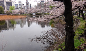 Parque Ueno: coração verde e cultural de Tóquio