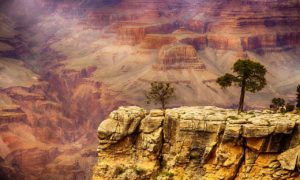 NEWS: Aniversário de 100 anos do Grand Canyon