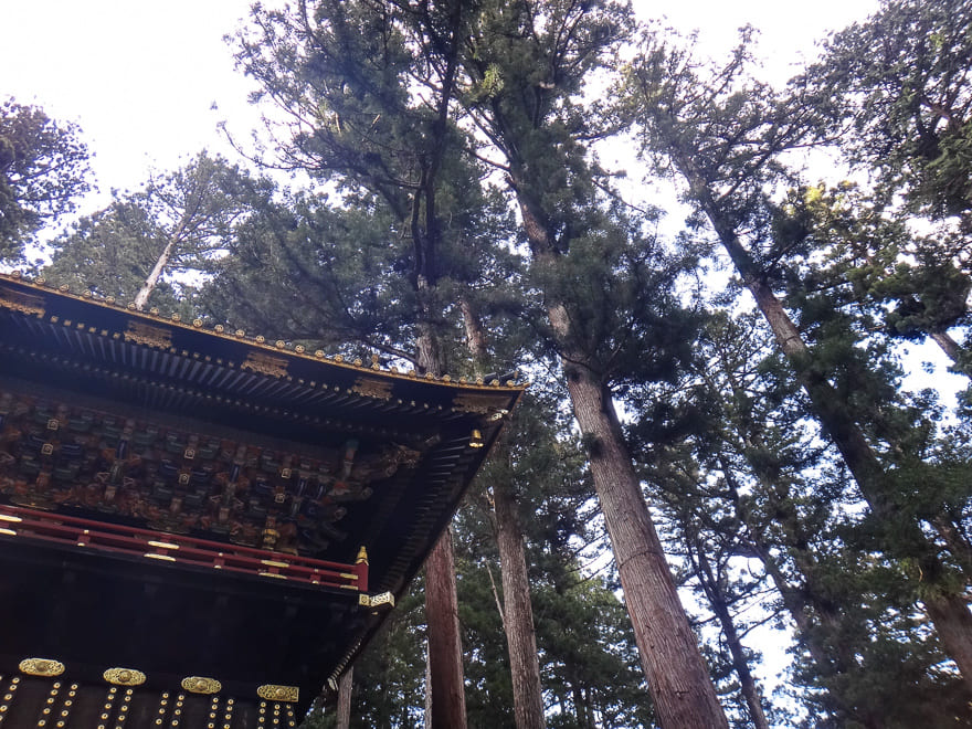 viagem nikko japao templo floresta - Roteiro de viagem para Nikko Japão - 1 dia