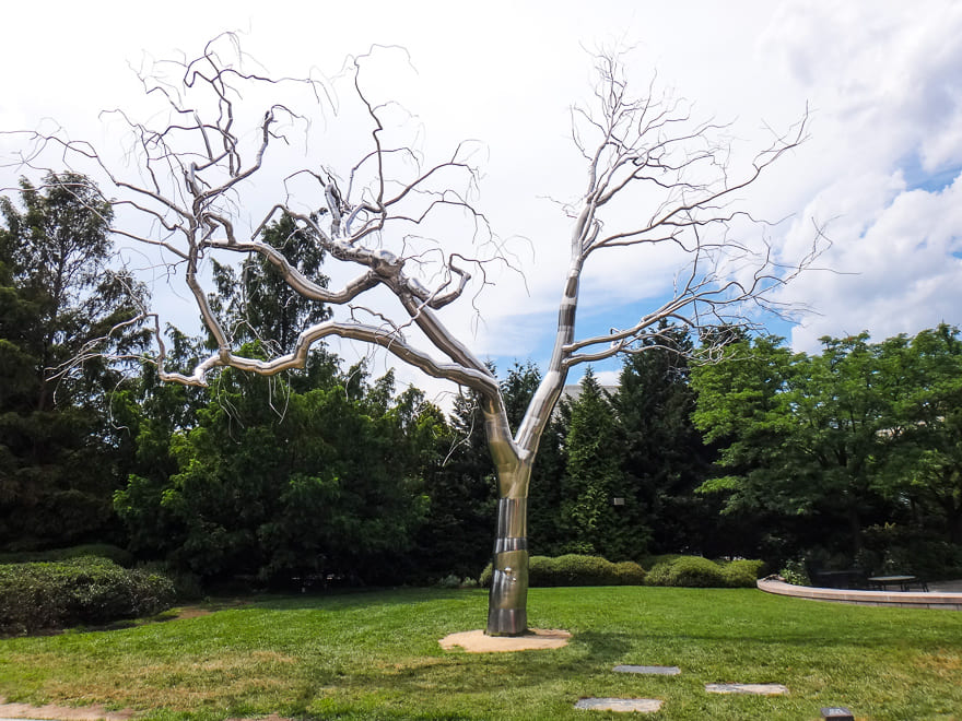 washington arvore escultura jardim national gallery museus em washington de graça