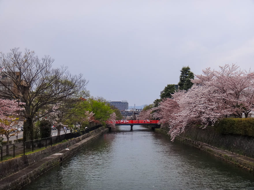 o que fazer em kyoto canal sakura - O que fazer em Kyoto Japão - super guia de 3 dias